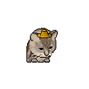 :Strawhatcat: