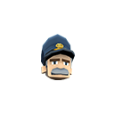 :wingcommander: