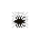:SpookySpider: