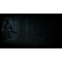 Ellie Forest