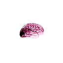 :smallbrain_am: