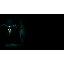 THE WATCHER