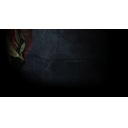 Echo