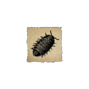 :p23bug: