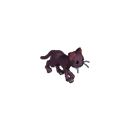 :meow:
