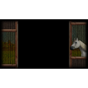 The Proud Andalusian (Profile Background)
