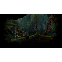 Forest bottom (Profile Background)