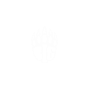 Shanghai 2024 | BIG