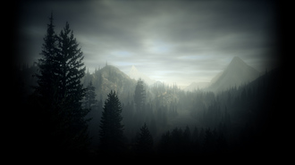 Steam Community Market :: Listings for 1359650-Dark Forest