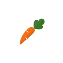 :singlecarrot: