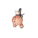 Big Brain