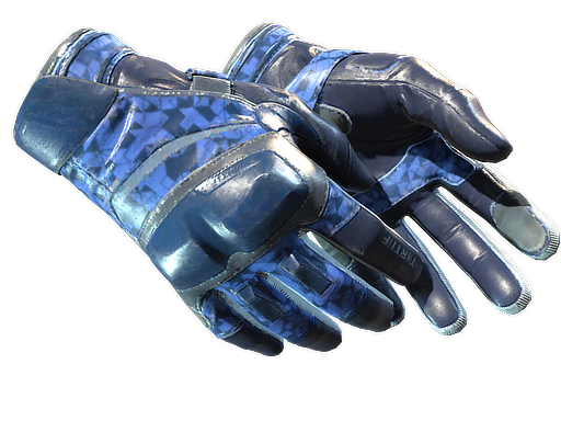 Moto Gloves | Polygon