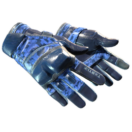 ★ Moto Gloves | Polygon (Field-Tested)