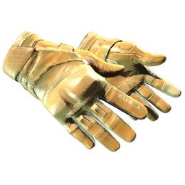 ★ Moto Gloves | Transport (Field-Tested)