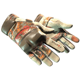 ★ Moto Gloves | POW! (Field-Tested)