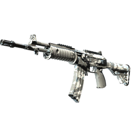 Galil AR | Winter Forest (Field-Tested)