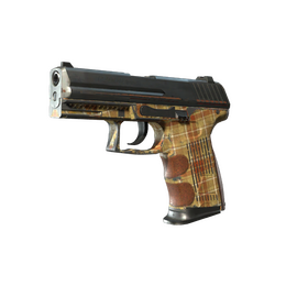 P2000 | Coach Class (Battle-Scarred)