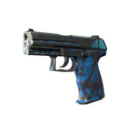 P2000 | Oceanic (Battle-Scarred)