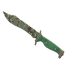 ★ Bowie Knife | Boreal Forest (Minimal Wear)