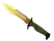★ Bowie Knife | Lore (Well-Worn)