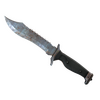 ★ Bowie Knife | Rust Coat (Well-Worn)