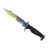 ★ Bowie Knife | Case Hardened (Well-Worn)