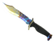★ Bowie Knife | Case Hardened (Well-Worn)