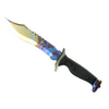 ★ Bowie Knife | Case Hardened (Factory New)