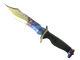 ★ Bowie Knife | Case Hardened (Minimal Wear)