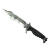 ★ Bowie Knife | Stained (Battle-Scarred)