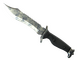 ★ Bowie Knife | Stained (Battle-Scarred)