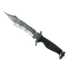 ★ StatTrak™ Bowie Knife | Stained (Well-Worn)