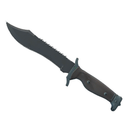 ★ Bowie Knife | Night (Field-Tested)