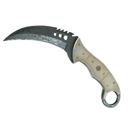 ★ StatTrak™ Talon Knife | Damascus Steel (Battle-Scarred)