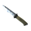 ★ StatTrak™ Ursus Knife | Stained (Factory New)
