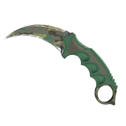 ★ Karambit | Boreal Forest (Field-Tested)