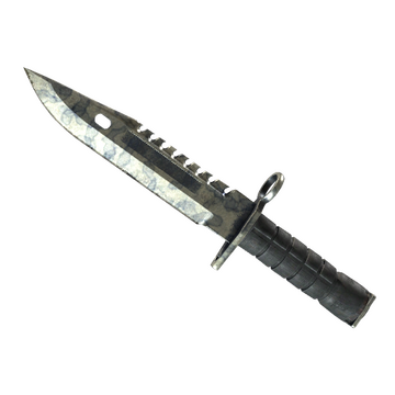 ★ StatTrak™ M9 Bayonet | Stained (Battle-Scarred)