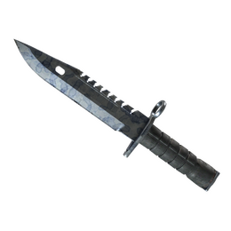★ M9 Bayonet | Stained (Minimal Wear)