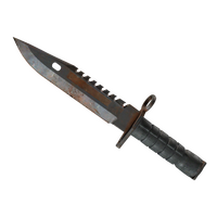 ★ StatTrak™ M9 Bayonet | Rust Coat (Battle-Scarred)