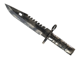 1669年 Louis XIV Navigation 再確立 シルバー メダル Steam Community Market :: Listings for ☆ StatTrak™ M9