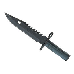 ★ M9 Bayonet | Night (Field-Tested)