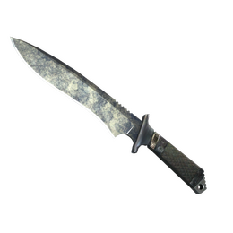 ★ Classic Knife | Stained (Battle-Scarred)