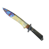 ★ Classic Knife | Case Hardened (Well-Worn)