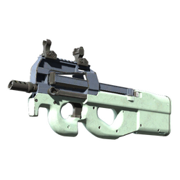 P90 | Storm (Field-Tested)