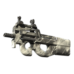 P90 | Ash Wood (Factory New)