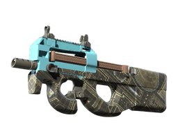Steam Community Market :: Listings for Souvenir P90 | Facility