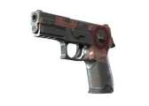 P250 - Конструктивизм - 160x114