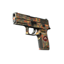 P250 | Red Rock (Battle-Scarred)