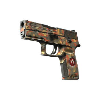 P250 | Red Rock (Battle-Scarred)