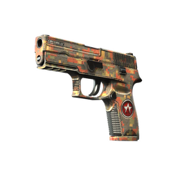 P250 | Red Rock (Field-Tested)